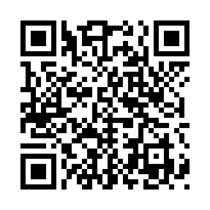 Google Pay QR